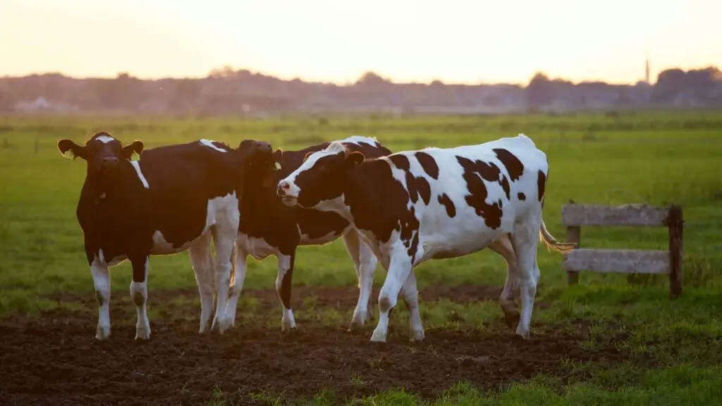 Gedragen beleid, Ministerie van Natuur, Landbouw en Voedselkwaliteit